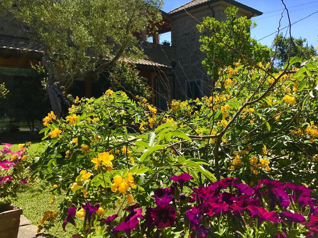 Casa Vacanze Il Cenito Castellabate Exteriör bild